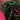 670dca8034be6e479edf2839_img-0471_1789930163673.jpeg