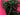 670dca8034be6e479edf2839_img-0471_1789930163673.jpeg