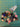 670dca8034be6e479edf2839_img-0588_1791662648264.jpeg