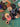 670dca8034be6e479edf2839_img-0590_1791662648265.jpeg