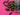 670dca8034be6e479edf2839_img-0634_1790811508760.jpeg