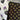 670dca8034be6e479edf2839_img-0690_1757363696555.jpeg