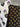 670dca8034be6e479edf2839_img-0690_1757363696555.jpeg