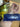670dca8034be6e479edf2839_img-0698_1791047221034.jpeg