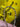 670dca8034be6e479edf2839_img-0723_1791224388937.jpeg