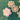 670dca8034be6e479edf2839_img-0727_1792338402690.jpeg
