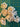 670dca8034be6e479edf2839_img-0728_1792338402690.jpeg