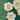 670dca8034be6e479edf2839_img-0731_1792338513226.jpeg