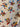 670dca8034be6e479edf2839_img-0749_1792339112904.jpeg