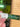 670dca8034be6e479edf2839_img-0759_1791218810831.jpeg