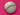 670dca8034be6e479edf2839_img-0796_1791220673223.jpeg