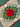 670dca8034be6e479edf2839_img-0809_1792862121892.jpeg