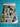 670dca8034be6e479edf2839_img-0841_1793320474426.jpeg