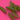 670dca8034be6e479edf2839_img-0852_1791314296211.jpeg