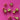 670dca8034be6e479edf2839_img-0860_1791314551037.jpeg
