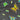 670dca8034be6e479edf2839_img-0872_1786062132791.jpeg
