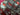 670dca8034be6e479edf2839_img-0874_1791315071436.jpeg