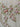 670dca8034be6e479edf2839_img-0911_1751991695966.jpeg