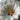670dca8034be6e479edf2839_img-0911_1769488087111.jpeg