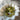 670dca8034be6e479edf2839_img-0912_1769487880874.jpeg