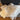670dca8034be6e479edf2839_img-0922_1770569667406.jpeg
