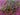 670dca8034be6e479edf2839_img-0949_1791668381334.jpeg