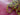 670dca8034be6e479edf2839_img-0950_1791668381334.jpeg