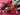 670dca8034be6e479edf2839_img-0957_1791668503434.jpeg