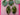 670dca8034be6e479edf2839_img-1081_1792536180980.jpeg
