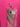 670dca8034be6e479edf2839_img-1117_1792708501751.jpeg