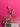 670dca8034be6e479edf2839_img-1118_1792708501752.jpeg