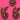 670dca8034be6e479edf2839_img-1126_1792710214454.jpeg