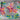 670dca8034be6e479edf2839_img-1183_1773098169214.jpeg