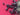 670dca8034be6e479edf2839_img-1227_1793036465841.jpeg