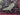 670dca8034be6e479edf2839_img-1228_1793036465842.jpeg