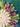 670dca8034be6e479edf2839_img-1237_1793325502643.jpg