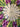 670dca8034be6e479edf2839_img-1238_1793325502643.jpg