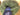 670dca8034be6e479edf2839_img-1340_1778800423018.jpeg