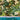670dca8034be6e479edf2839_img-1374_1751025695174.jpeg