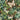 670dca8034be6e479edf2839_img-1375_1751025695173.jpeg