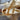 670dca8034be6e479edf2839_img-1398_1754603121682.jpeg