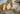670dca8034be6e479edf2839_img-1399_1754603121683.jpeg