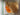 670dca8034be6e479edf2839_img-1409_1754605994725.jpeg