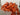 670dca8034be6e479edf2839_img-1410_1754606749842.jpeg