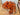 670dca8034be6e479edf2839_img-1411_1754606749844.jpeg