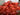 670dca8034be6e479edf2839_img-1413_1754606749844.jpeg