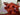 670dca8034be6e479edf2839_img-1415_1754606749845.jpeg