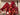 670dca8034be6e479edf2839_img-1426_1754618509831.jpeg