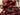 670dca8034be6e479edf2839_img-1427_1754619637282.jpeg