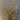 670dca8034be6e479edf2839_img-1866_1775001588909.jpeg